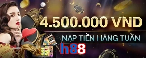 h88