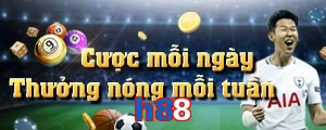 h88